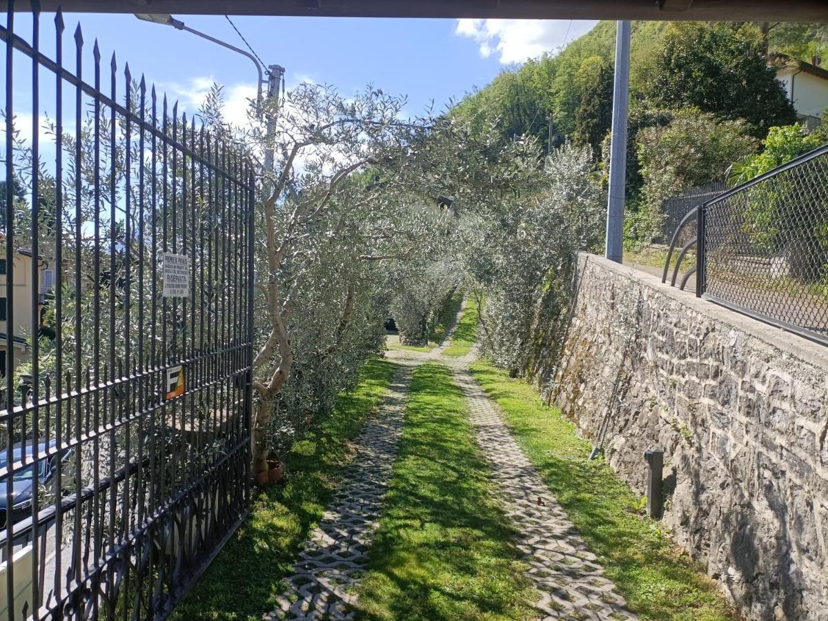 Casa Delle Olive 1 Lägenhet Oliveto Lario Exteriör bild